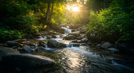Obraz premium Stream Flowing Through Forest with Sunlight Streaming Through Trees