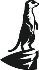 black and white meerkat