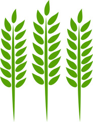 Wheats ears icon and wheat design elements flat line vector  isolated on transparent background. Harvest wheat grain, growth rice stalk and whole bread grains or field cereal nutritious.