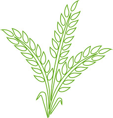 Wheats ears icon and wheat design elements flat line vector  isolated on transparent background. Harvest wheat grain, growth rice stalk and whole bread grains or field cereal nutritious.