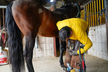 Farrier brushing a glowing horseshoe to remove impurities, working on an anvil
