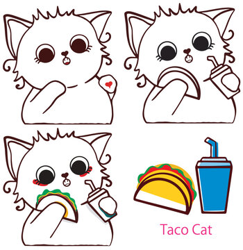 taco cat 