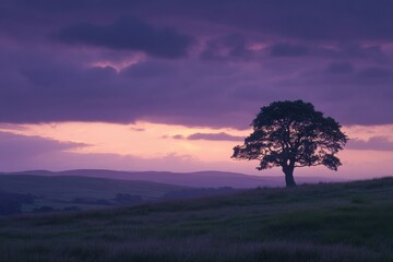 Obraz premium Dramatic sunset illuminates lone tree in rural landscape with warm golden hues and deep purple twilight filling the horizon