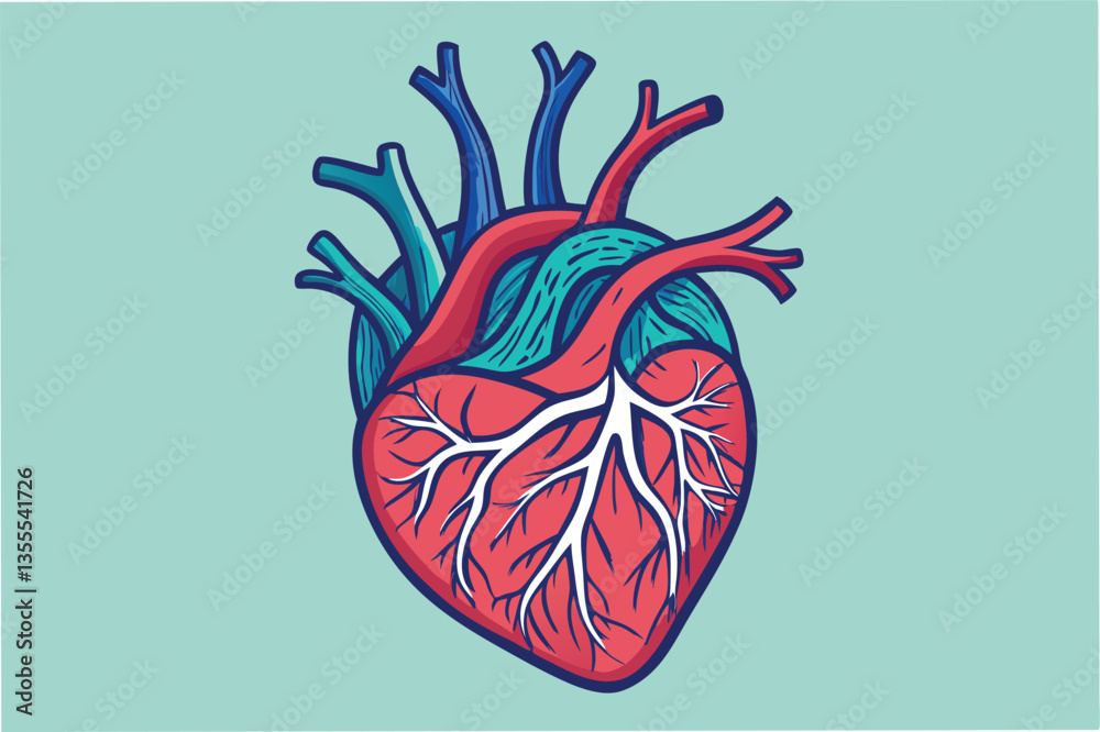 Poster detailed vector illustration of a human heart showing arteries and veins on a minimal background in 