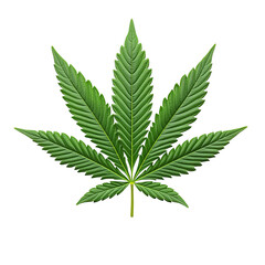Cannabis Leaf Green Botanical Background: Marijuana Herb in Nature - Organic Medicinal Plant