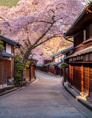 京都祇園 春の風情あふれる伝統的な町並み