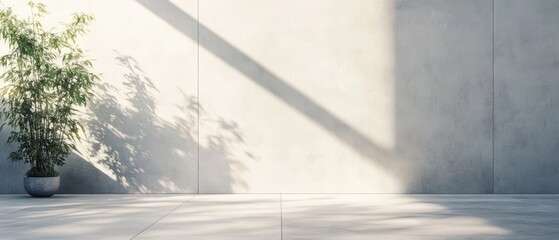 Fototapeta premium Minimalist interior design with a potted plant casting shadows on a concrete wall in a bright, modern space