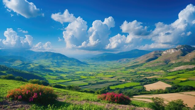 landscape of paramos view