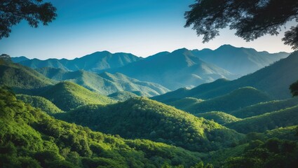Naklejka premium Beautiful natural scenery of the mountain forest. Rainforest ecosystem, forested hills. Tropical green forest landscape. Travel photograph, no people.
