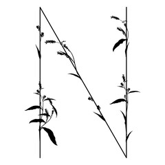 Capital letter N with floral  motifs. Botanical alphabet with herbs and wildflowers. Blooming branches of Polygonum plant. Knotweed or Smartweed flower. Black silhouette on white background.