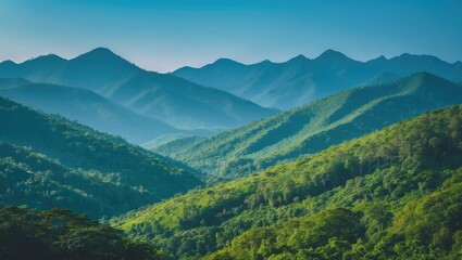 Obraz premium Beautiful natural view of the mountain forest. Rainforest ecosystem, forested mountains. Tropical green forest natural scenery. Travel photo, no people.