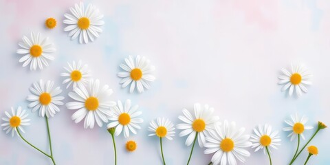 Fototapeta premium Delicate white daisy floral pattern on pastel blue and pink background , textile, print