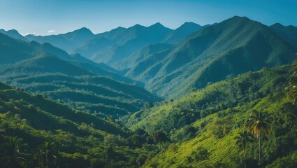 Naklejka premium Stunning natural scenery of the forest mountains. Rainforest ecosystem, wooded mountain. Natural view tropical green forest. Travel image, no people.