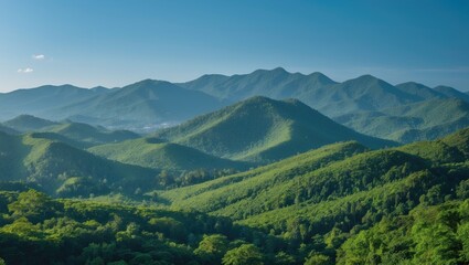 Naklejka premium Beautiful natural scenery of mountainous forests. Rainforest ecosystem, forested hills. Tropical green forest landscape. Travel photo, no person present.