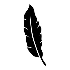 Obraz premium banana tropical leaf icon