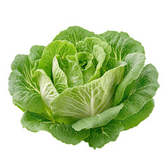 Obraz premium Fresh Organic Green Cabbage: Nutritious Leafy Greens for Healthy Eating and Sustainable Cooking