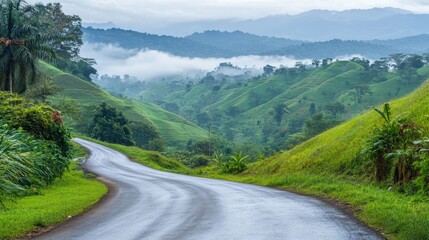 Naklejka premium A foggy morning road winding through green hills, with mist covering the distant peaks