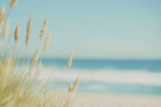 Beach grass and ocean view.