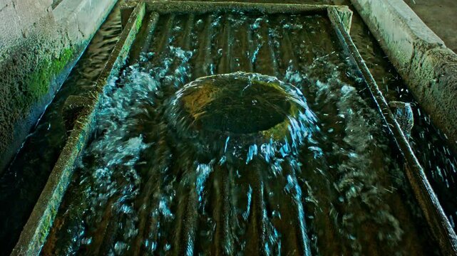Hatchery Pump
