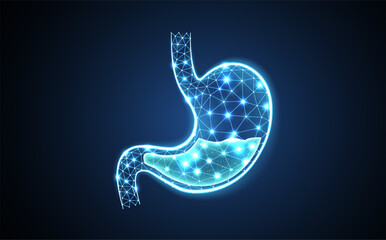 Abstract wireframe stomach illustration. Stomach anatomy, 3D gastroenterology