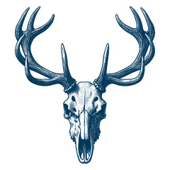 elk skull vector