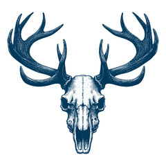 Naklejka premium elk skull vector