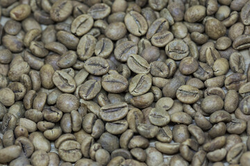 Raw Coffee Beans