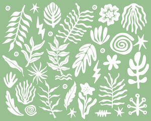 Boho bohemian plant leaf mystic pattern aesthetic icon, symbol scandinavian nature jungle layout packaging print art template editable