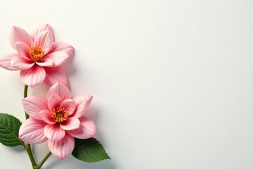 Subtle, delicate floral motif on light background , textile, subtle pattern