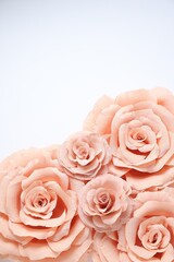 Beautiful pink paper flowers on white background, flat lay. Space for text