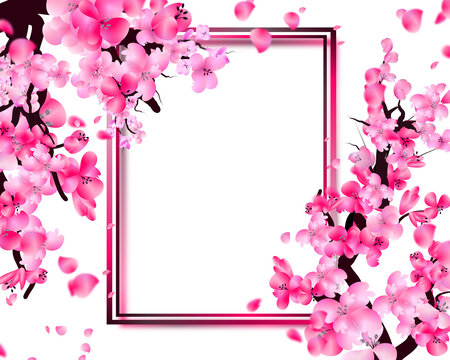 Sakura Frame Images – Browse 187,938 Stock Photos, Vectors