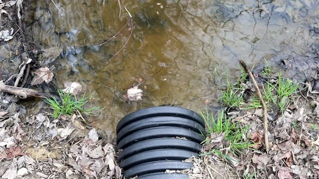 Plastic drainage pipe draining into forest water overflow