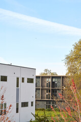 Modern Building Exterior with Tree Surroundings