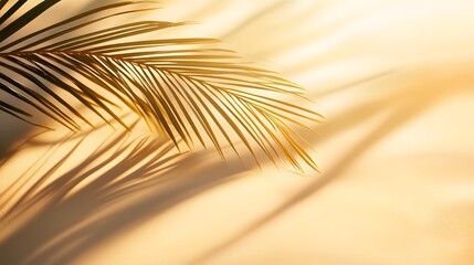 Obraz premium Golden Palm Leaf Shadows on Beige Background Summer Tropical Sunlight Minimalist Nature