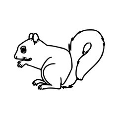 squirrel outline vector
