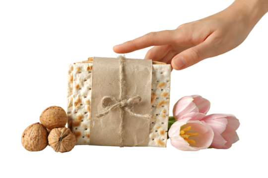 Passover, Hand grabs a matzah bouquet, isolated on white, PNG