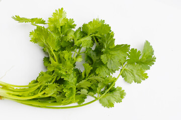 Fresh coriander (cilantro) with roots, a key ingredient in many Asian cuisines.