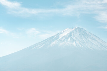 banner background of tropical forest landscape scene for using in concept of environmental ecology and sustainable energy or Earth day, wild wood scenic using for wallpaper of spa and tourism