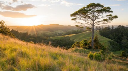 Obraz premium Golden Sunrise Over Rolling Hills with a Lone Tree in Focus, Evoking Tranquility and Harmony with Nature