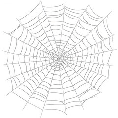 Obraz premium detailed line-drawn spider web showcasing its intricate pattern and structure it serves as a graphic resource for artistic or educational purposes