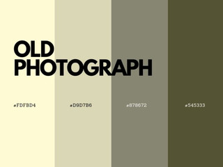 Old Photograph Color Palette: Faded Sepias, Muted Blacks, and Warm Vintage Tones.