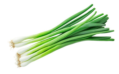 green onion isolated on the white background
