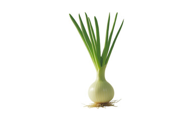 green onion isolated on the white background