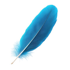 a vibrant blue feather lies flat against a white background showcasing its intricate details and striking color often symbolizing beauty nature and creativity