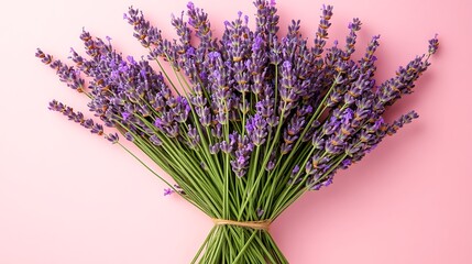 Lush Lavender Bouquet Against Pink Background.