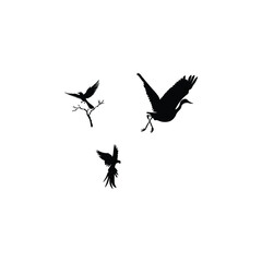 Animals  silhouette 