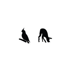 Animals  silhouette 