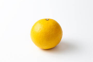 白背景に黄金柑