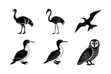 many kinds exotic birds silhouette vector illustration