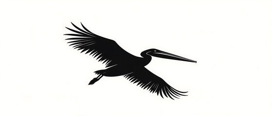 Pelican in Flight Silhouette.
